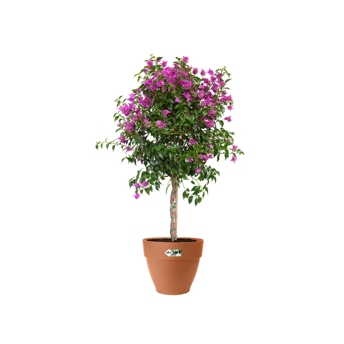 vibia campana round 25cm terra